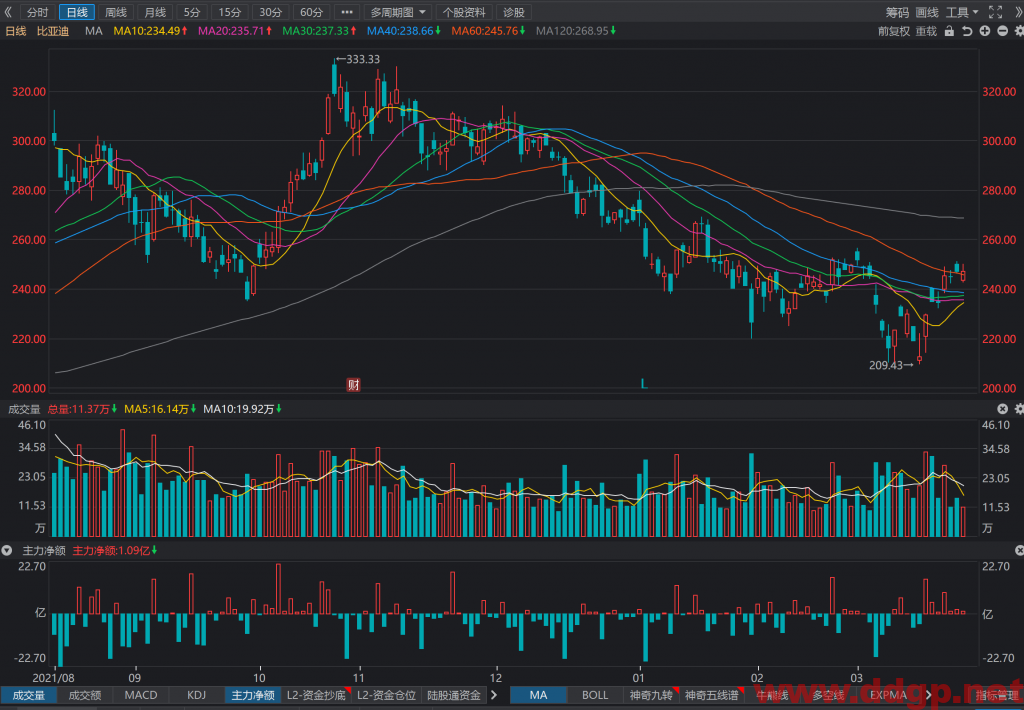 比亚迪建议在20日均线（235元）以上多单持有，跌破20日均线离场观望