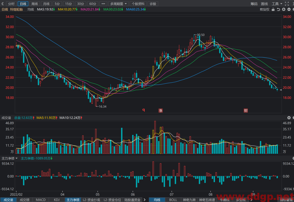 玲珑轮胎：2022年Q2实现归母净利润2.03亿元，YoY-27.44%