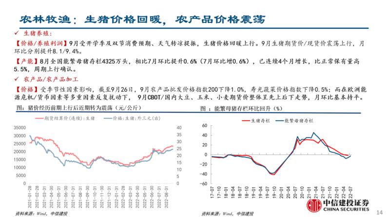 自动草稿