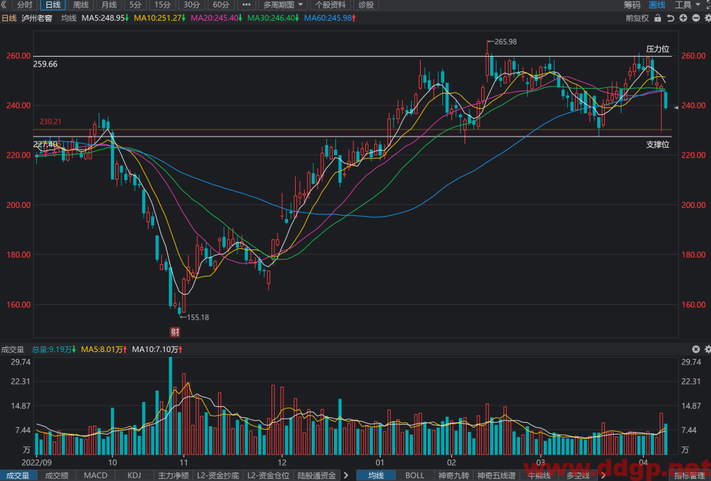 泸州老窖股价趋势,目标价,止损价预测和K线形态及财报分析-2023.4.11