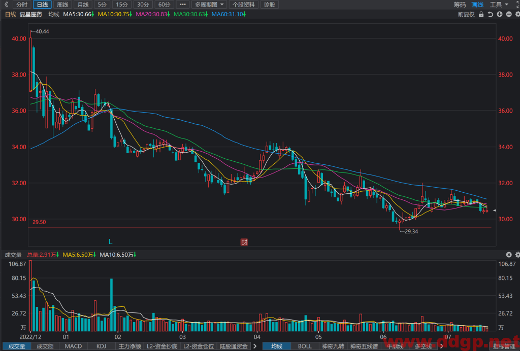 复星医药 股价趋势预测和K线图及财务报表分析-2023年7月19日