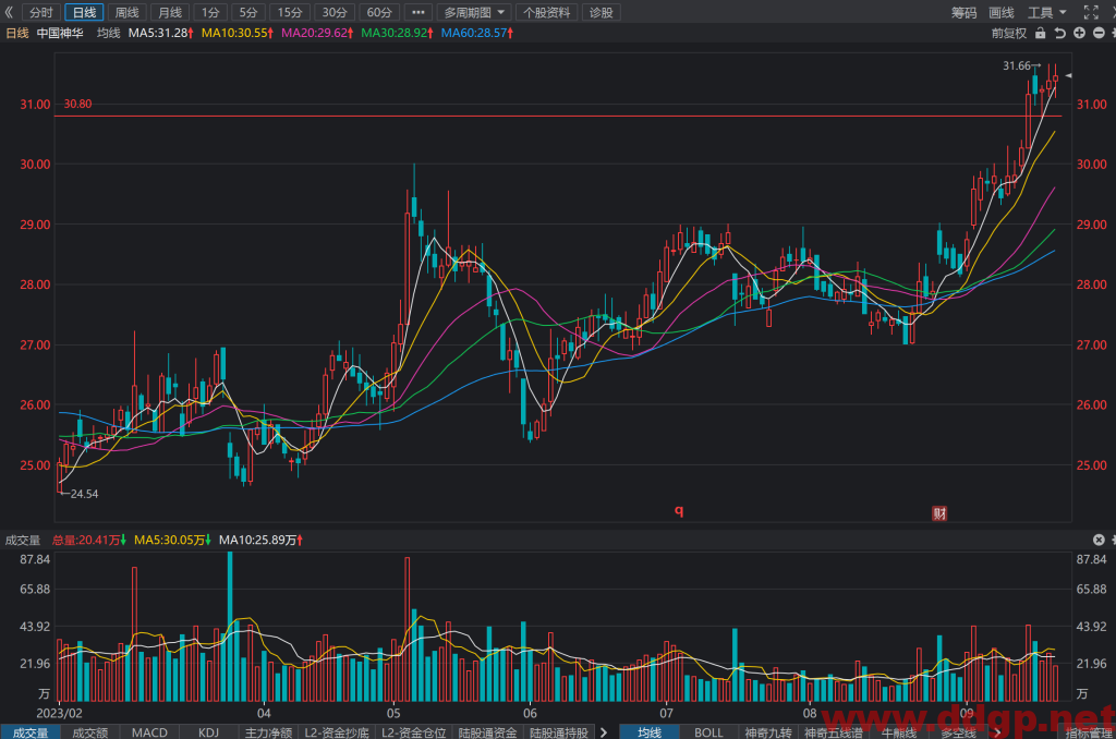 中国神华(601088)股票行情,股价,财务报表,走势图,目标价,技术分析预测-2023年9月20日