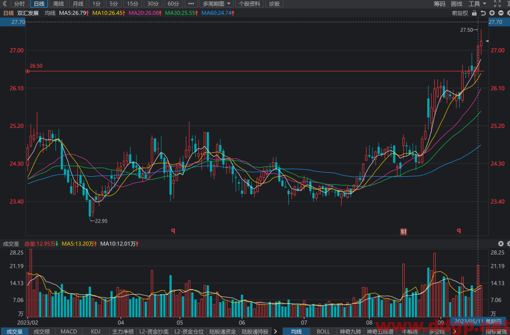 双汇发展(000895)股票行情,股价,财务报表,走势图,目标价,技术分析预测-2023年9月20日