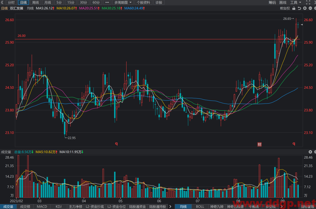 双汇发展股票行情,财务报表,走势图,目标价,技术分析-2023年9月13日