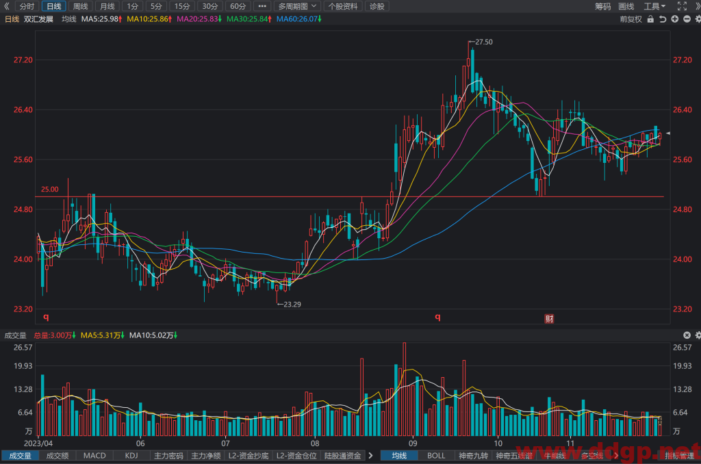 双汇发展(000895)股价走势/财务报表/K线图分析预测