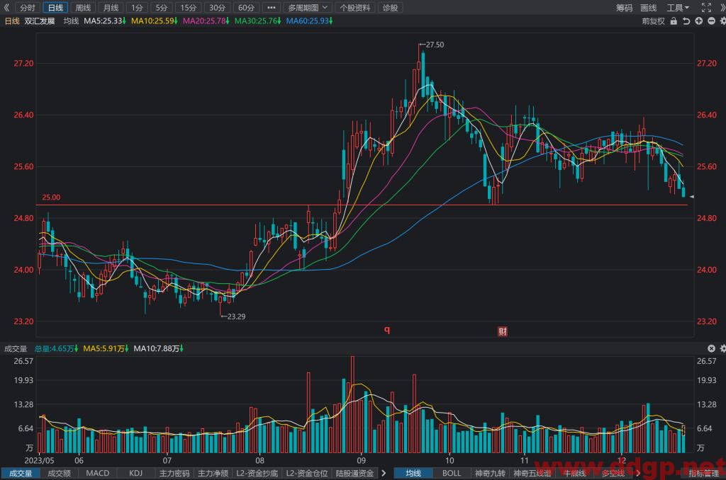 双汇发展(000895)股价走势和K线图分析预测-2023.12.21