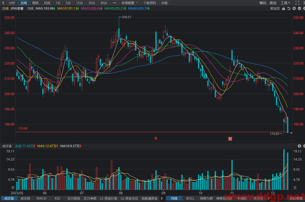 泸州老窖(000568)今日股价放量大跌5.51%，K线图强烈看空-2023.12.13